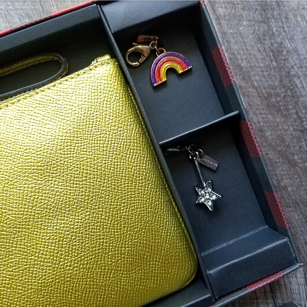 🍒NIB🍒 COACH DOROTHY METALLIC WRISTLET + CHARMS - Picture 2 of 8